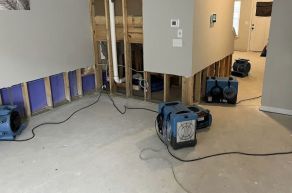Dry Out Services in Walnut Grove, GA (2)